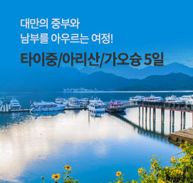 대만5일