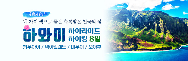 하와이 하이라이트