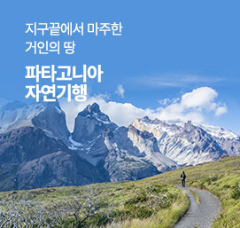 파타고니아