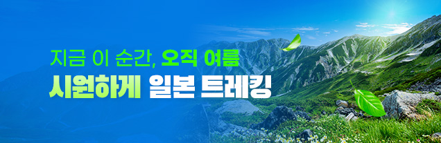 여름 기획전