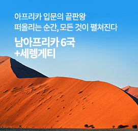 남아프리카+세렝게티