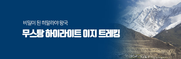 무스탕 하이라이트