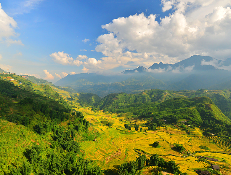 국내 유일! 베트남 남&middot;중&middot;북부 완전일주