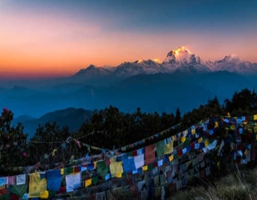 [안나푸르나] 푼힐/베이스캠프 트레킹 12일