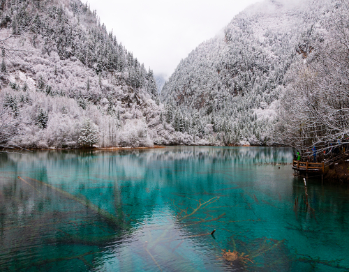 구채구/황룡/비평구 트레킹 6일